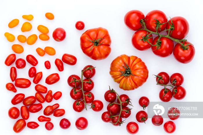 Assorted raw tomatoes on white background