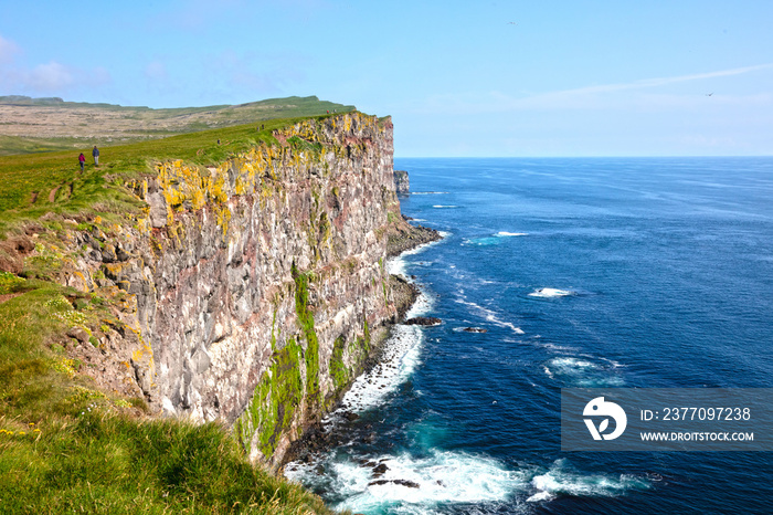 These majestic high cliffs are in Latrabjarg promontory, westernmost point in Iceland