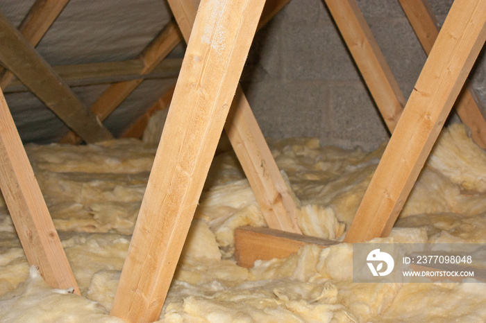 Attic Insulation