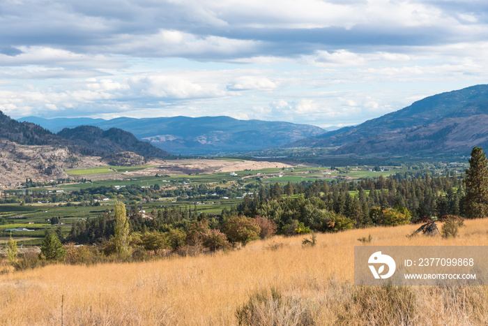 View of the Okanagan Valley, green fields, and town of Oliver in autumn