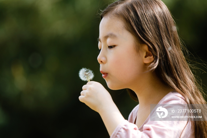 可爱的女孩在户外