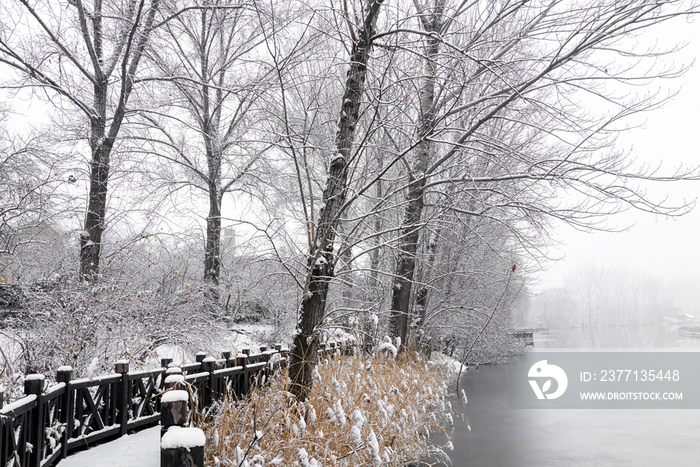 栈道旁雪后结冰的河流