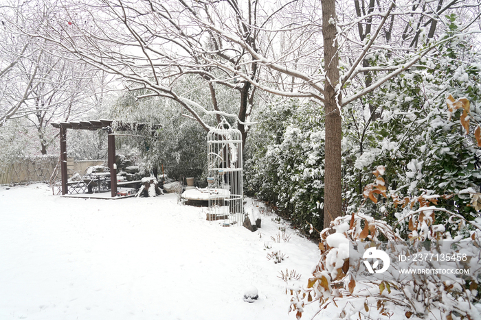 下雪后的私家花园