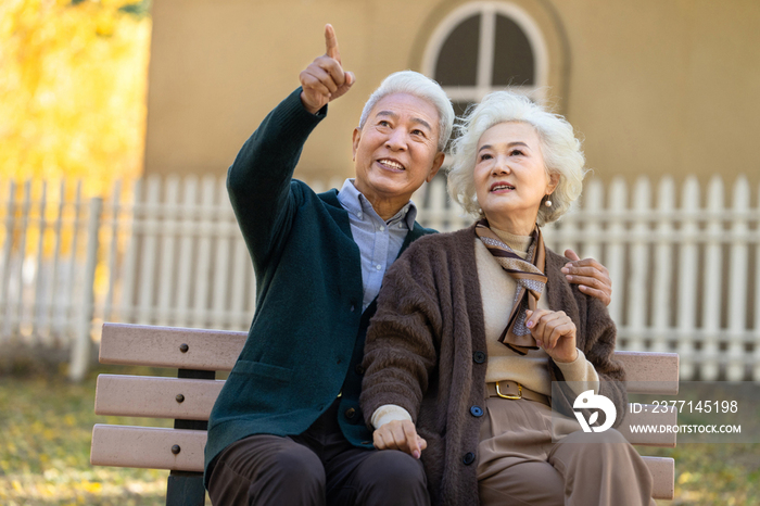 幸福的老年夫妇坐在长椅上