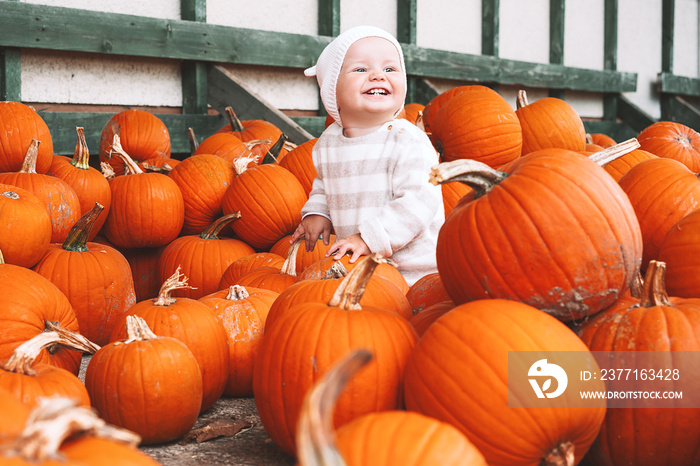 Child picking pumpkins at pumpkin patch.