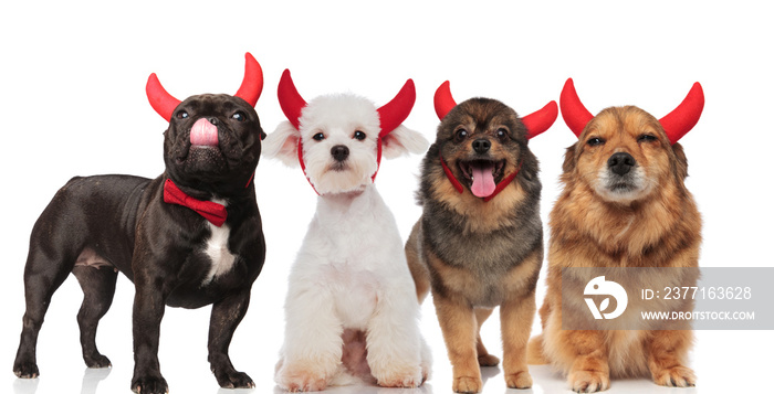 four cute dogs with red devil horns standing and sitting