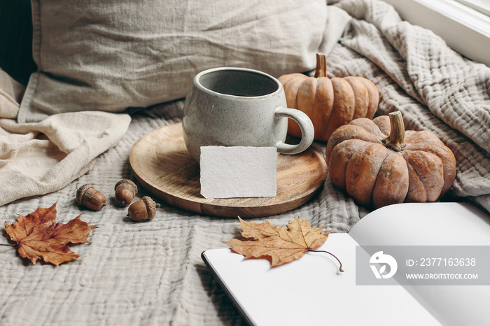 Cozy autumn morning breakfast still life. Cup of hot coffee, tea son wooden plate near window. Blank