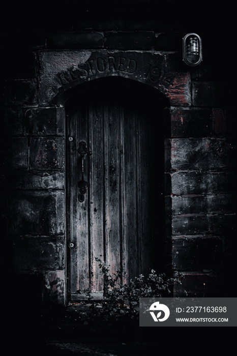 Old gothic door
