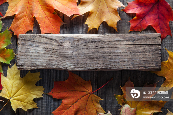 autumn leaf on wood black background (top view) orange leaf on old grunge wood deck, copy place for 