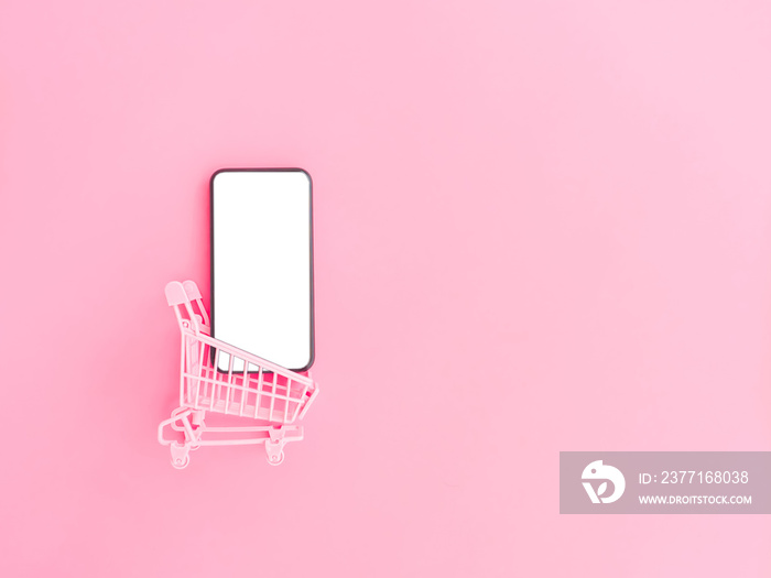 shopping and payment online concept from pink purse, credit cards, shopping cart and blank smartphon