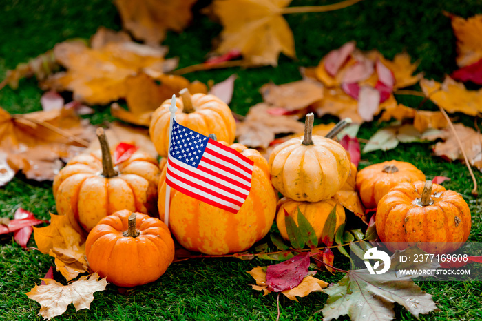 Group of pumpkins and American flag on green lawn