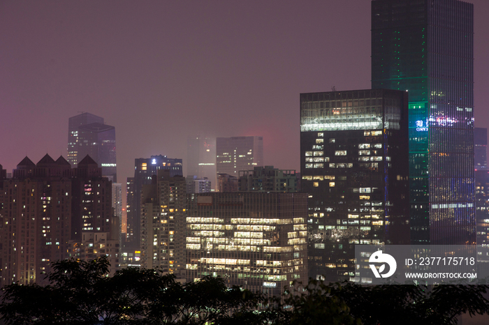 广东省深圳莲花山夜景