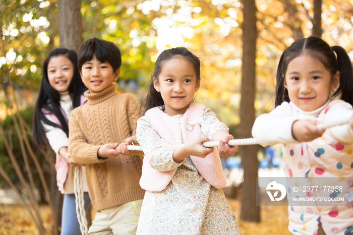 小学生在拔河比赛