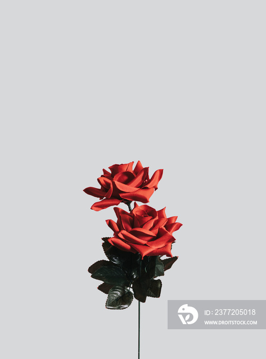 Artificial red roses