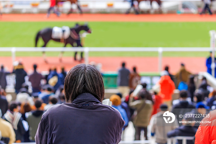 競馬 パドック