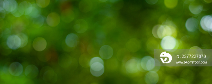 abstract circular green bokeh background, green nature spring and nature light in blurred style, cop