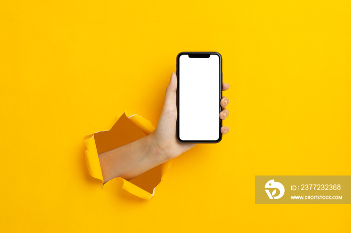 woman hand holding a blank screen smart phone on a yellow background.