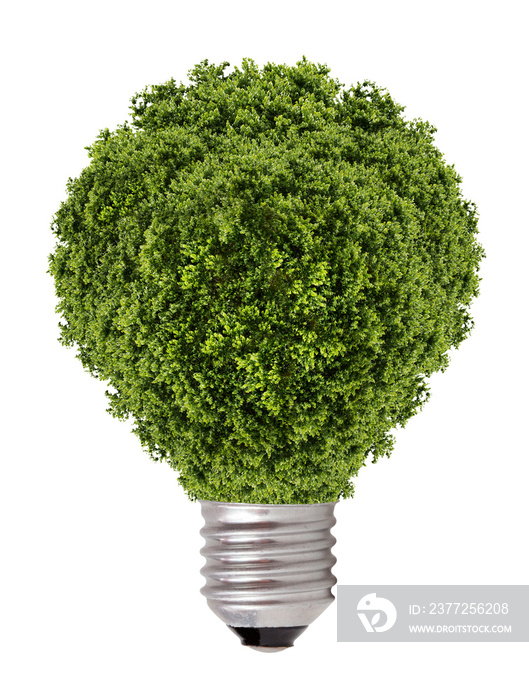 green tree growing out of a bulb,Green energy concept