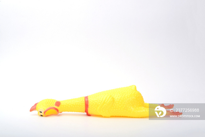 toy rubber chicken on white background