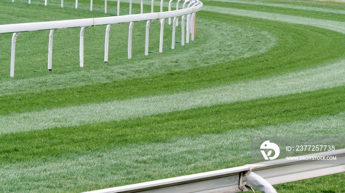 Close up of the green grass field in horse racing racetrack in Shatin, Hong Kong.