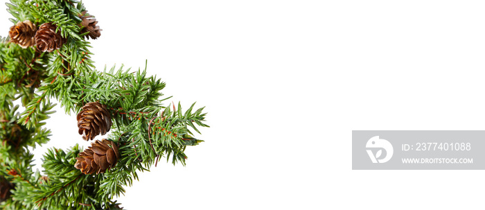 christmas tree  isolated on white background with clipping path