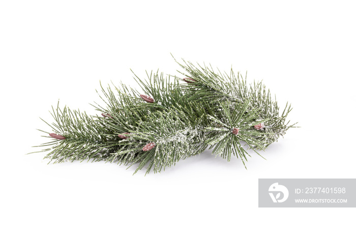 Christmas tree isolated on a white background.