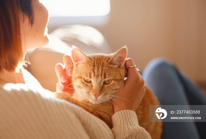 Young asian woman wears warm sweater resting with tabby cat on sofa at home one autumn day. Indoor s