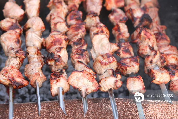 Cooking meat on skewers in barbecue on picnic