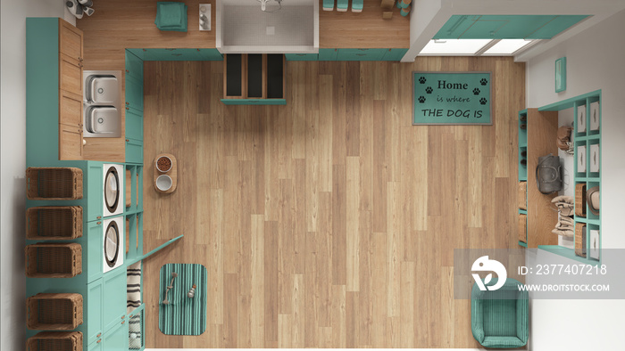 Pet friendly modern turquoise and wooden laundry room, mudroom with cabinets and equipment. Dog show