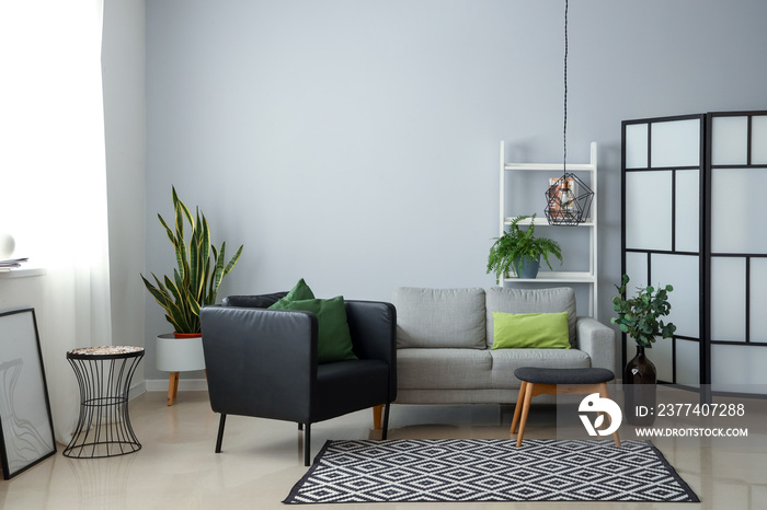 Interior of modern living room with armchair, sofa and houseplants