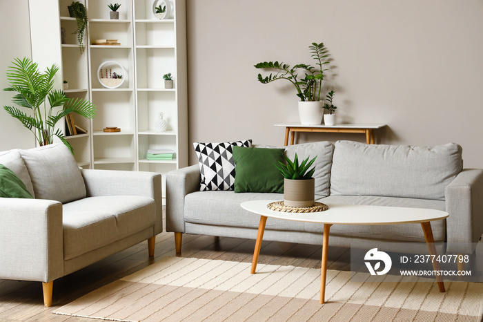 Interior of light living room with coffee table, sofas and houseplants