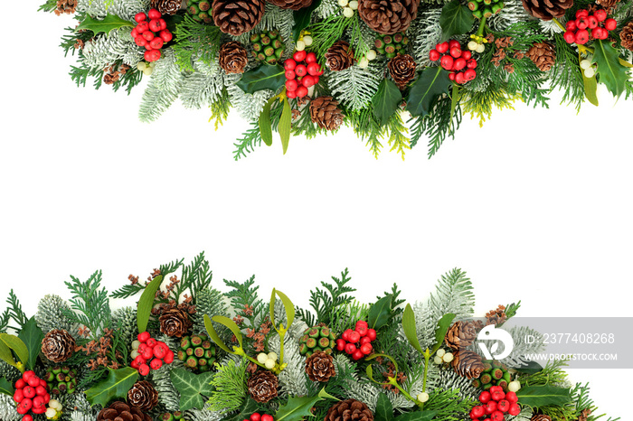 Winter and Christmas background border with holly, snow covered spruce fir, mistletoe, cedar and ivy