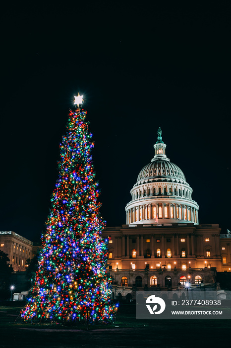 capitol Christmas