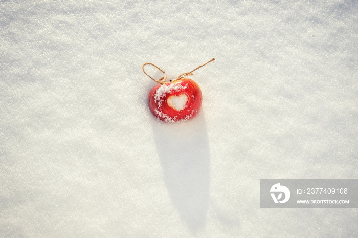 apple on the snow