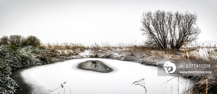 Frozen pond with bushes and snow in mid winter