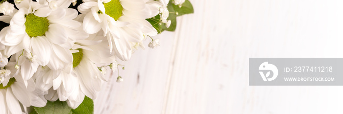 Bouquet of white chamomile chrysanthemums on white background banner with copy space. Wide panoramic header. Gift flowers basket for the holiday