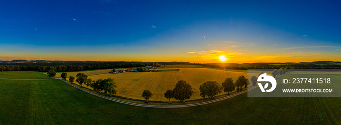 Aerial View of an avenue from above at sunset with the golden hour.