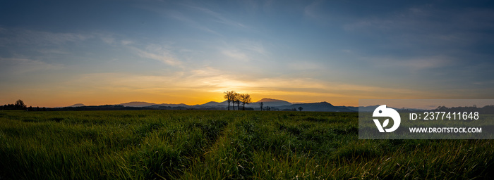 Sunset over grass field Mary’s Peak Oregon Willamette Valley