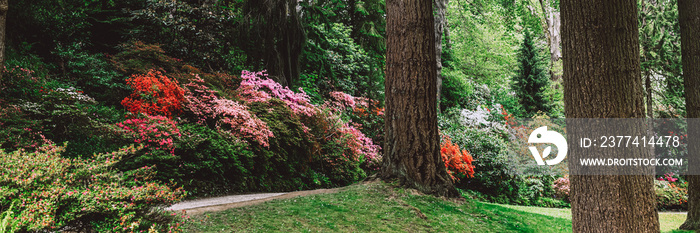 Beautiful Garden with blooming trees during spring time