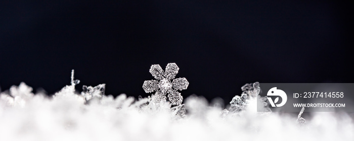 winter card, crystals of snow, winter photo