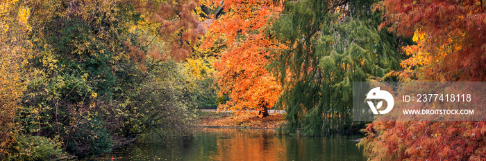 Multicolored trees of the Jardin Public park in Autumn in Bordeaux, France