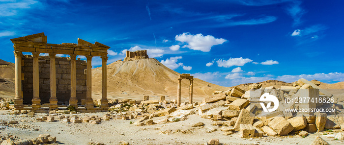 It’s Landscape of the ruins of Palmyra, Syria