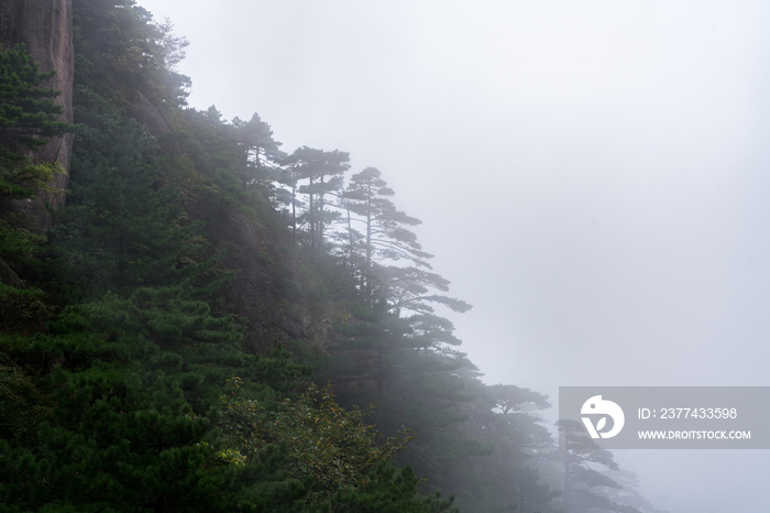 安徽黄山风光