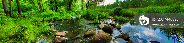 Płytka rzeka przepływająca między kamieniami w lesie. Rzeka Grabia, Ldzań, Polska
