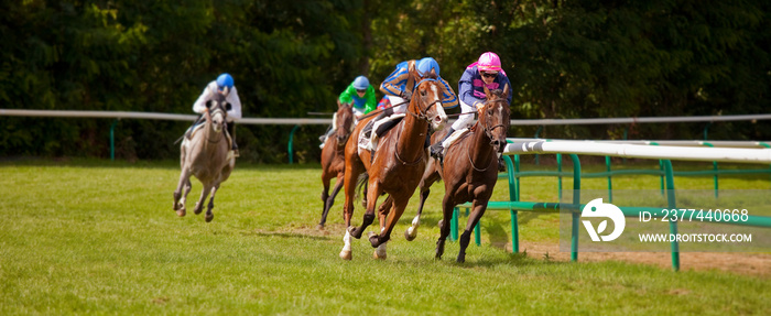 Course de chevaux au galop