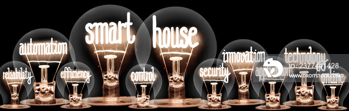 Light Bulbs with Smart House Concept