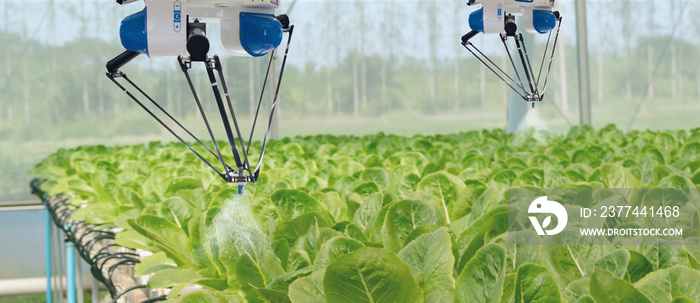 smart robotic in agriculture futuristic concept, robot farmers (automation) must be programmed to work to spray chemical,fertilizer or increase efficiency, growing a seed, harvesting, reduce time