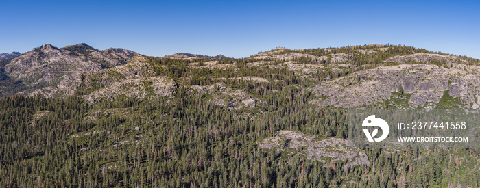 Forest and Granite Rock Formations