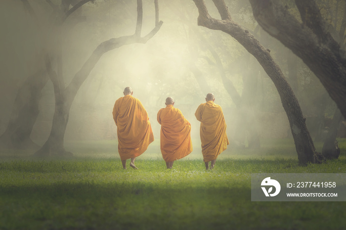 monks hike in deep forest, Buddha Religion concept