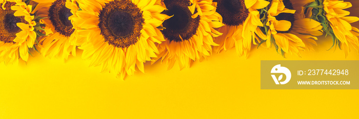 Yellow Sunflower Bouquet on bright Yellow Background, Autumn Concept, Top View, Space for Text, banner size